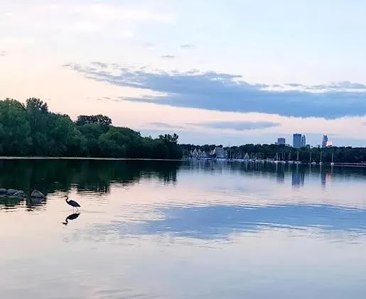 Lake Of The Isles Classic Minneapolis