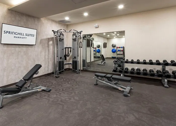 Springhill Suites Minneapolis Maple Grove/Arbor Lakes